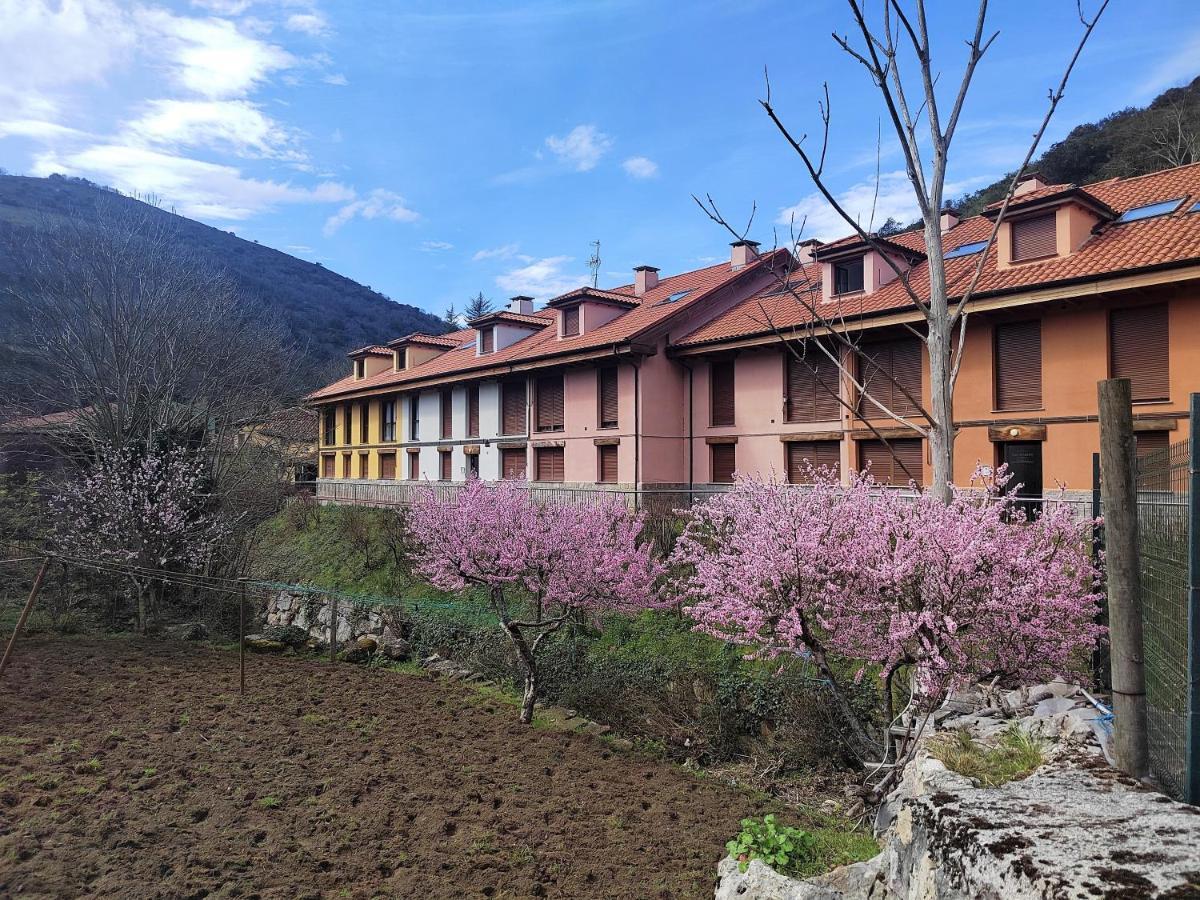 Апартаменты Cabrales Sol Карренья-де-Кабралес Экстерьер фото
